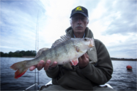 LURE 4 – Bewl trout